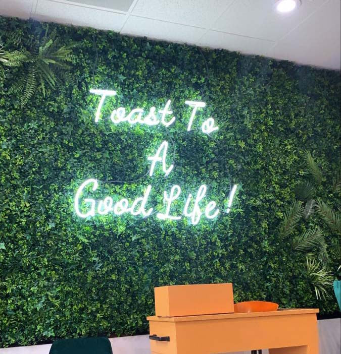 Artificial 3D Living Wall Panels - AGPL Hedge