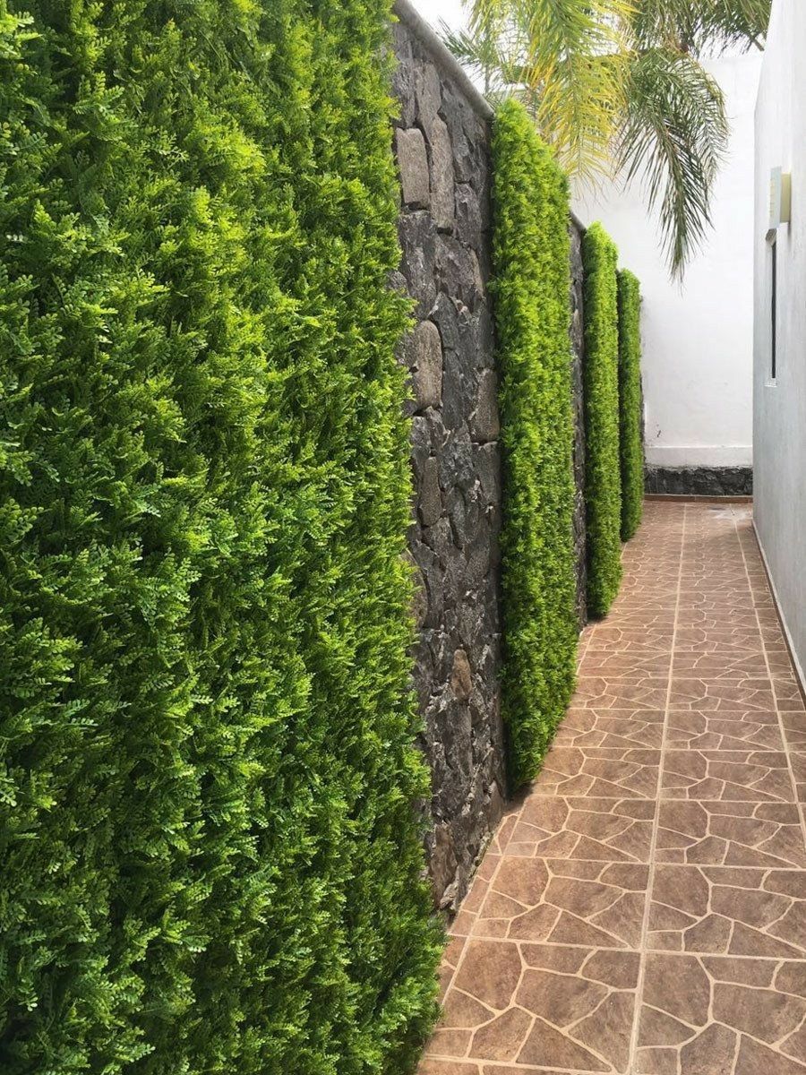 Artificial Wall Panels - AGPL Hedge