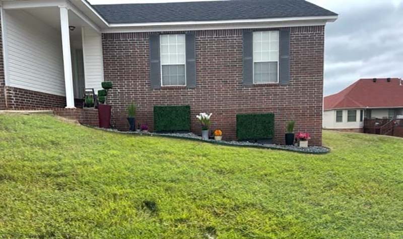 boxwood hedge wall