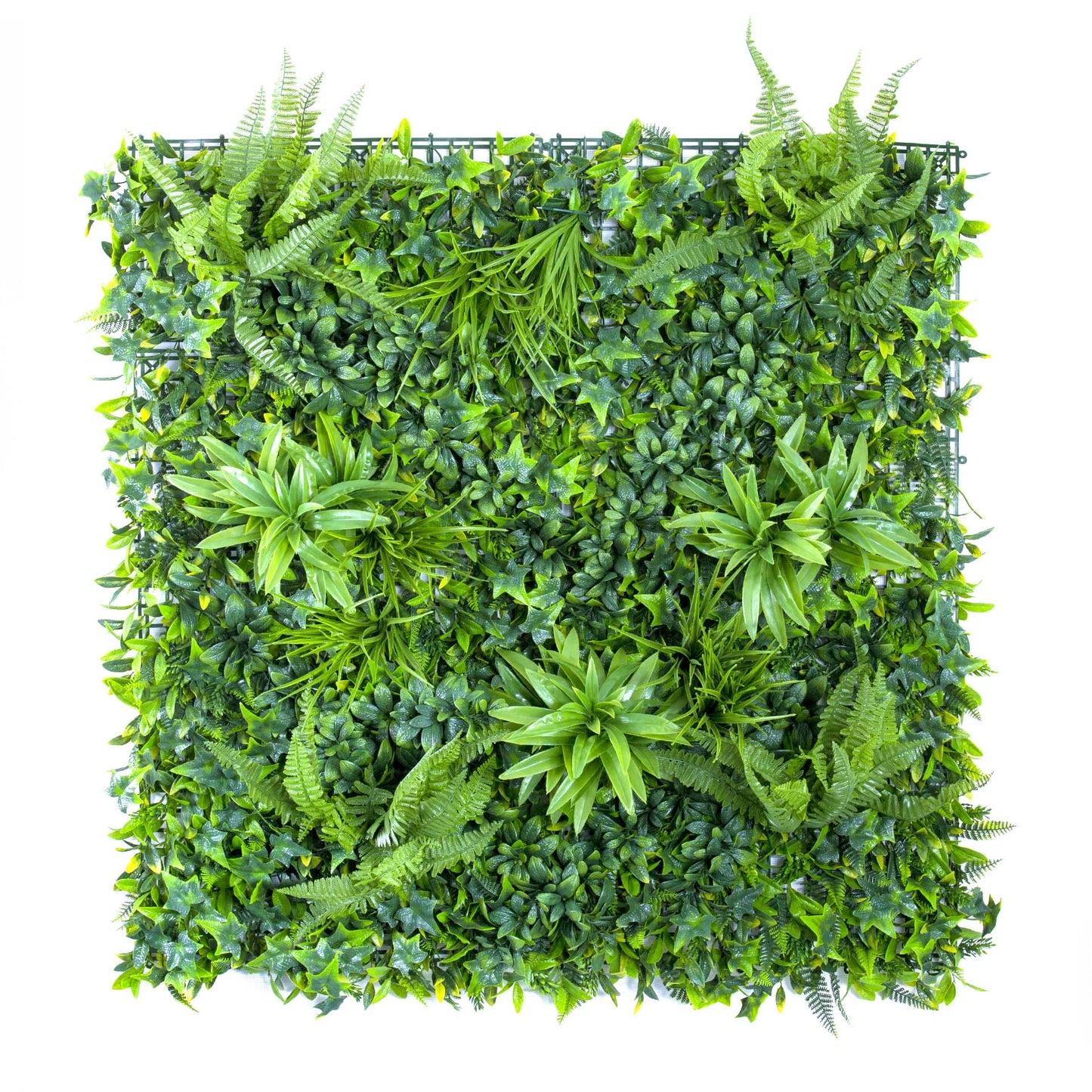 Artificial plant wall panels - AGPL Hedge
