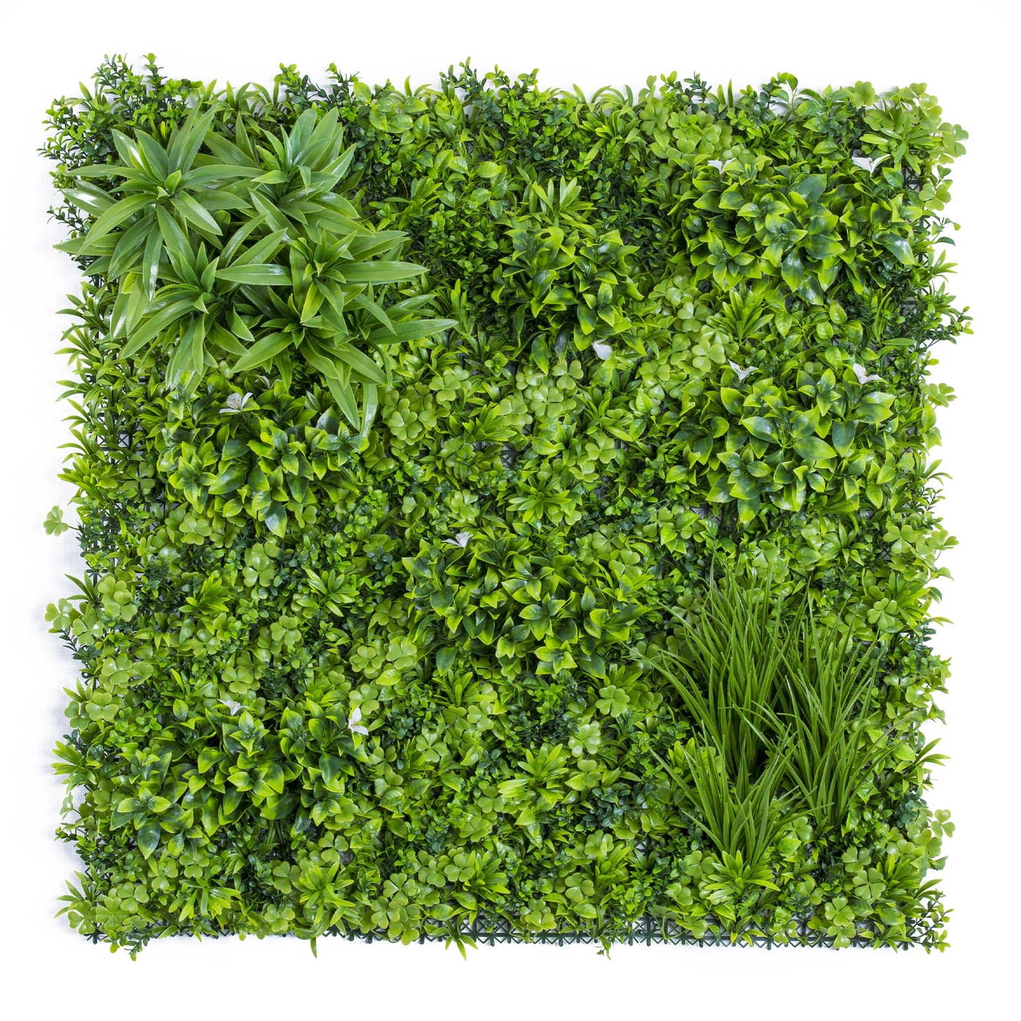 Artificial fence panels - AGPL Hedge