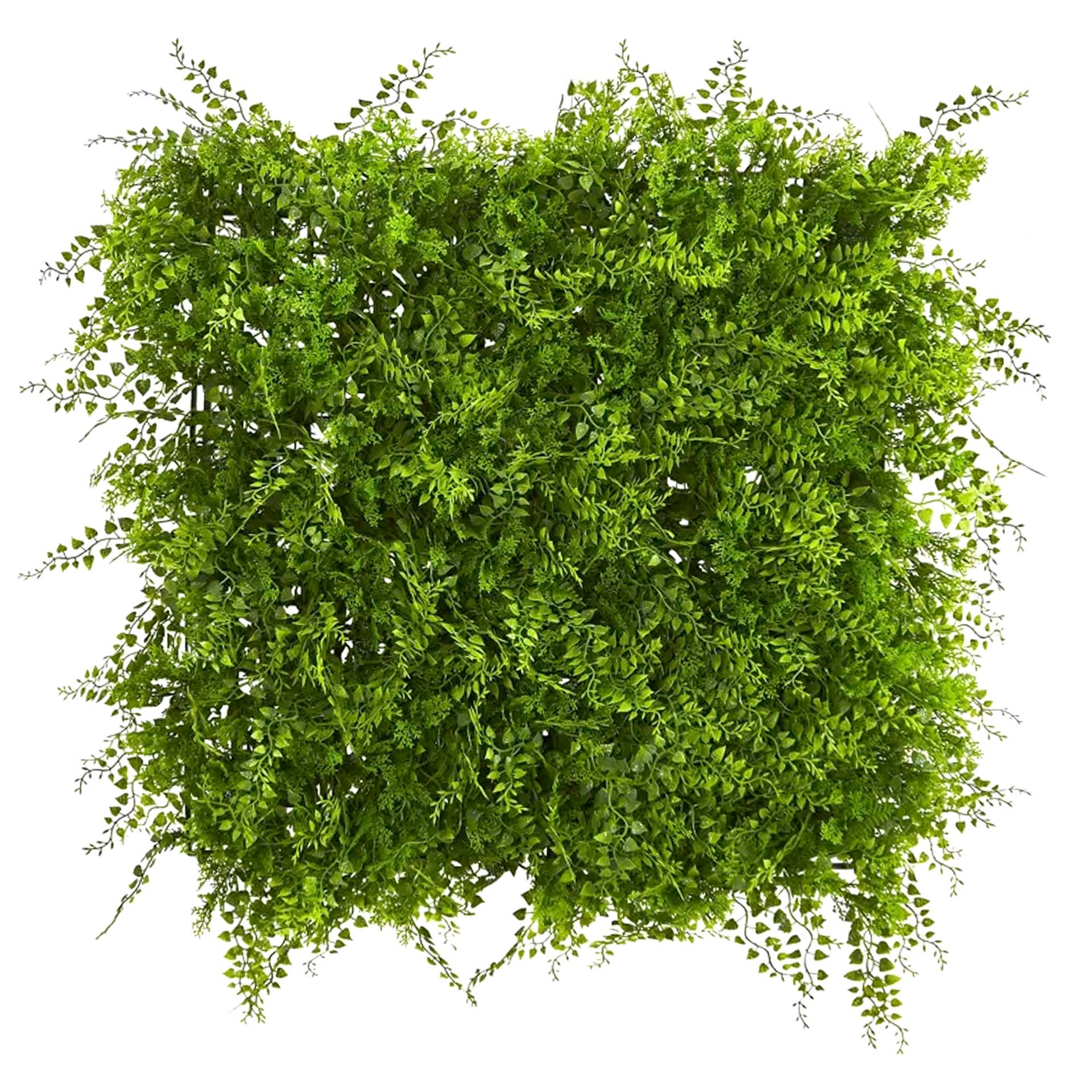 Artificial Wall Panels - AGPL Hedge