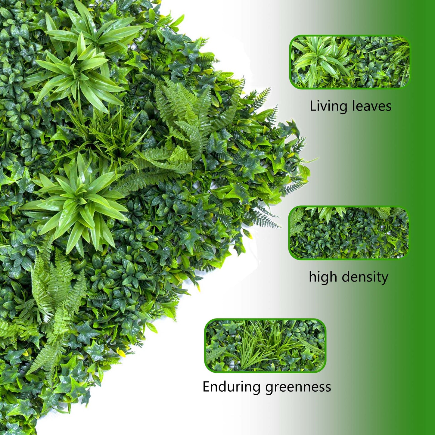 Artificial plant wall panels - AGPL Hedge