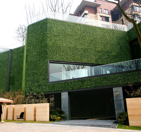 AGPL Best Privacy Screen - AGPL Hedge 