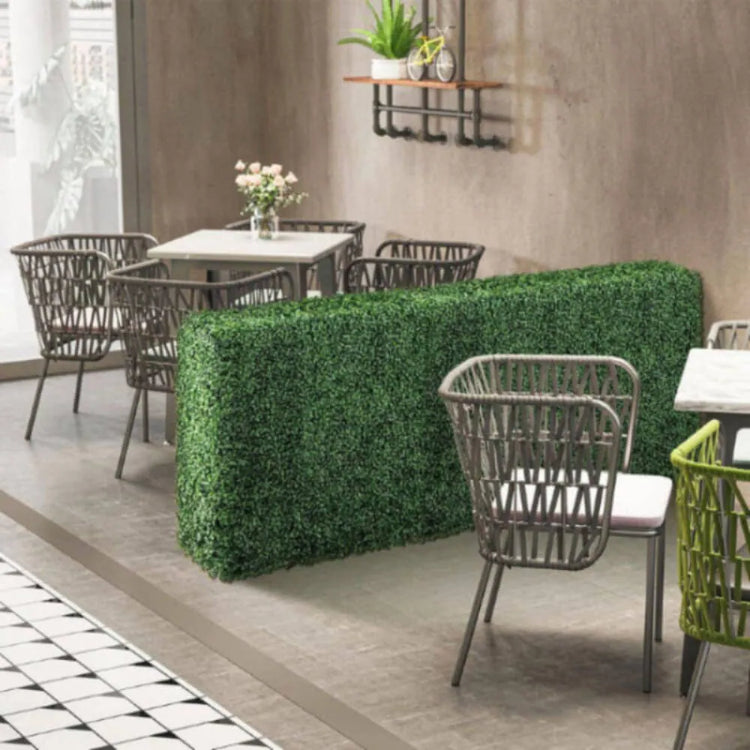 hedge wall without planter