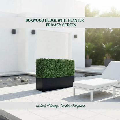 Boxwood Hedge wall
