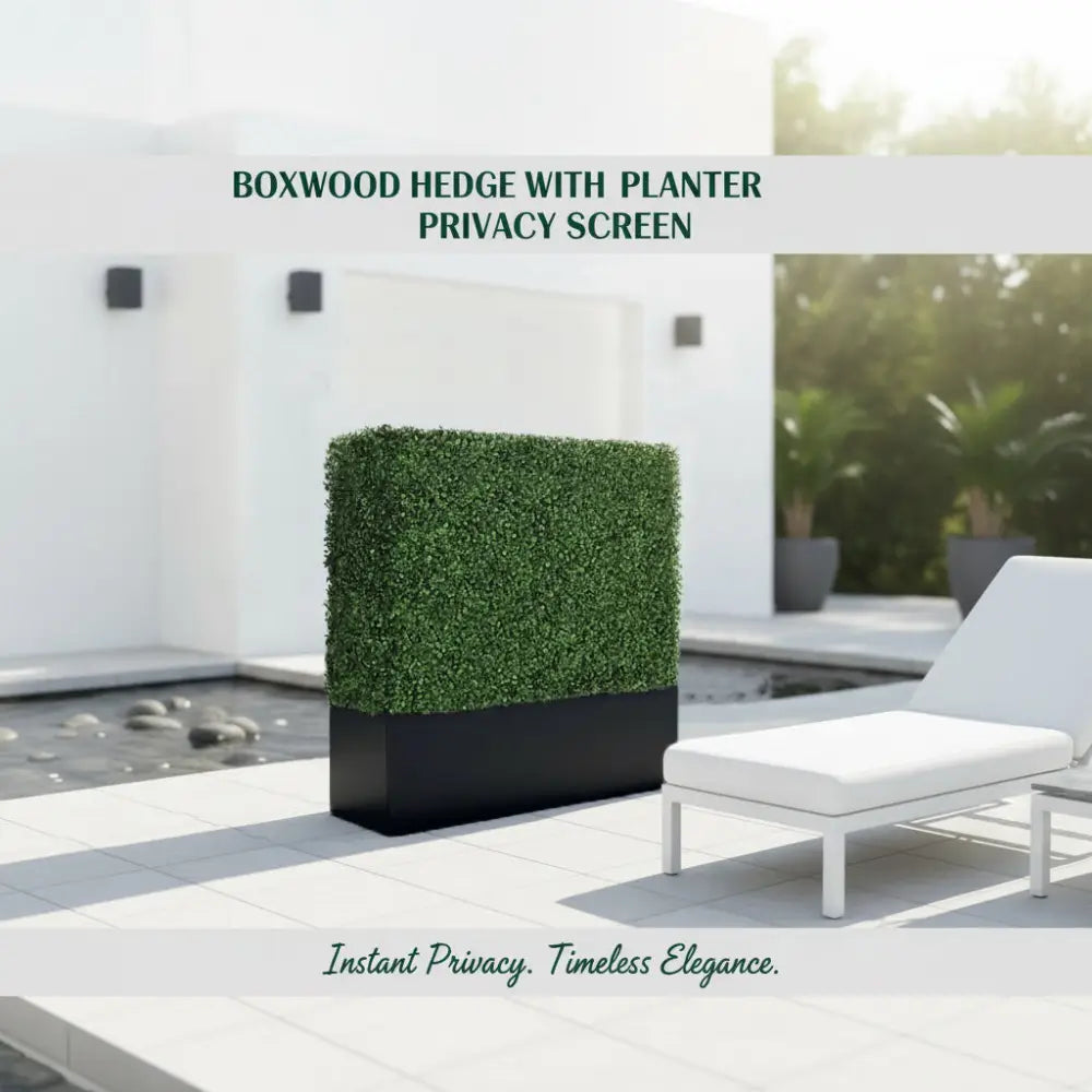 Boxwood Hedge walls