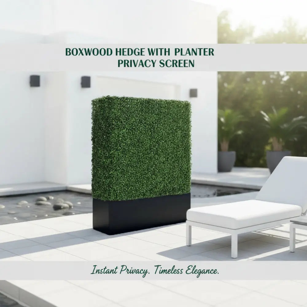 Boxwood Hedge wall