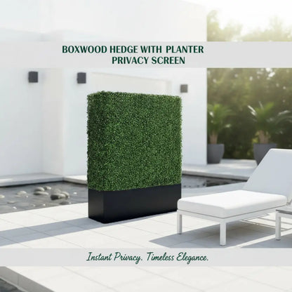 Boxwood Hedge wall