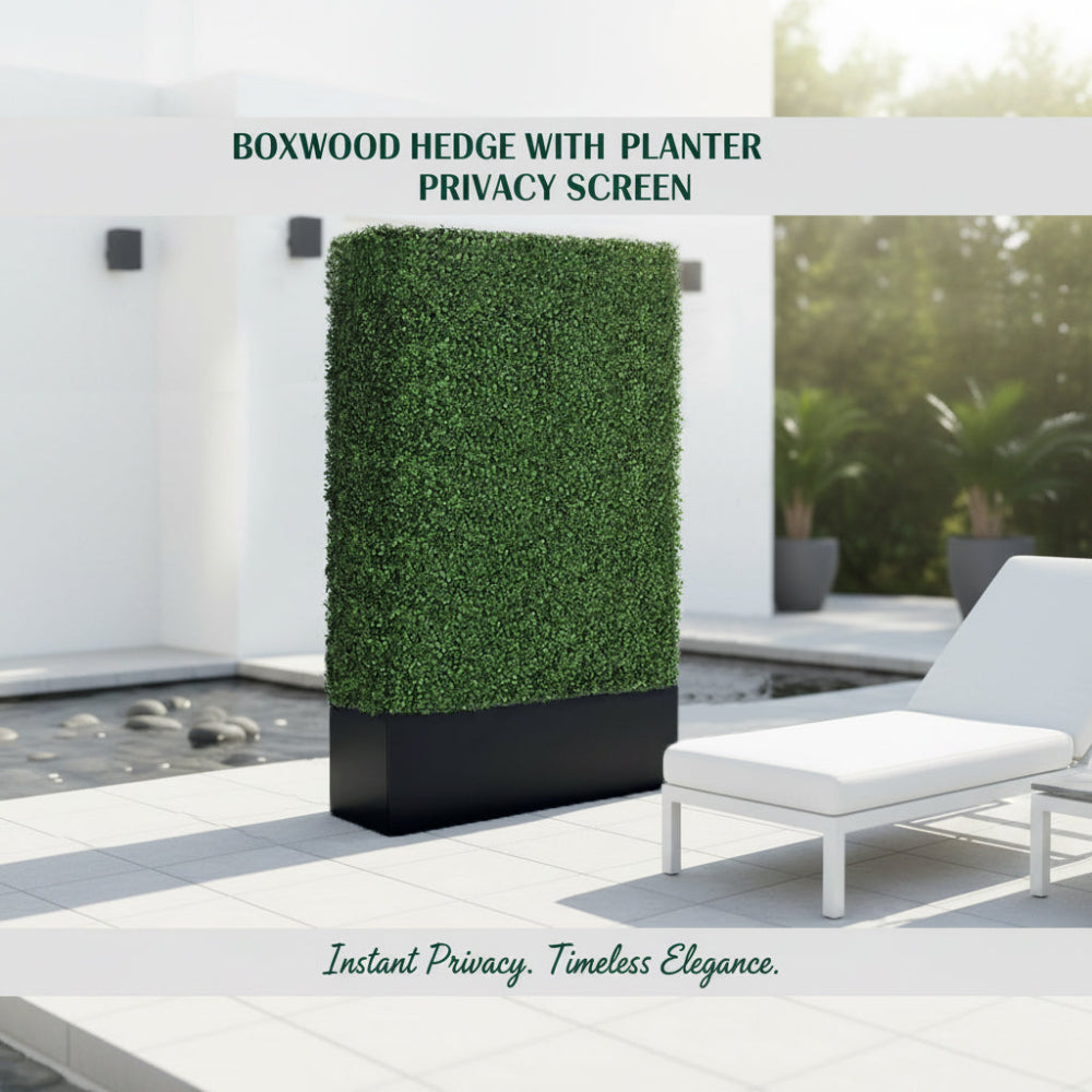 Boxwood Hedge wall