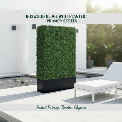 Boxwood Hedge wall