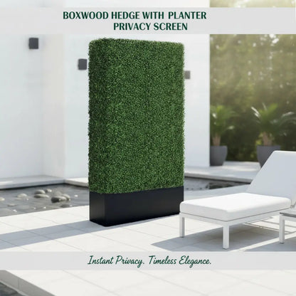 Boxwood Hedge wall