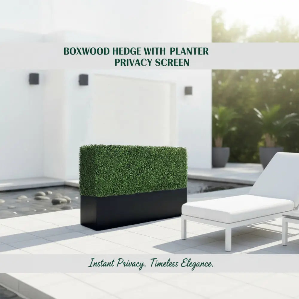 Boxwood Hedge wall