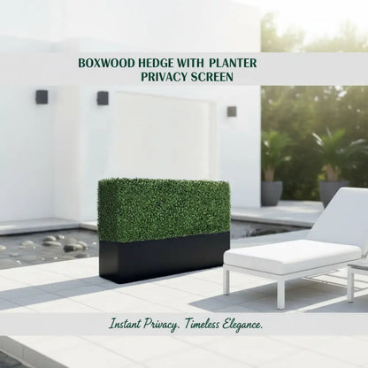 Boxwood Hedge wall