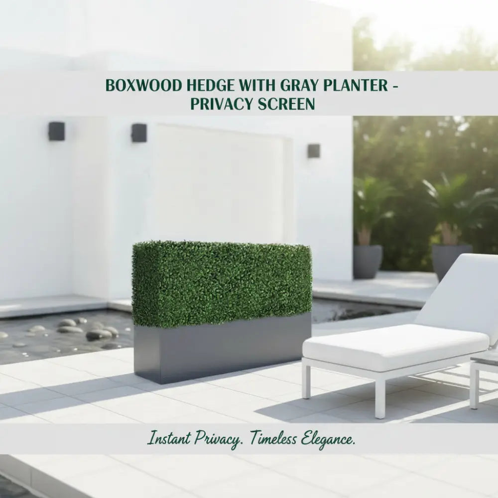 Boxwood Hedge wall