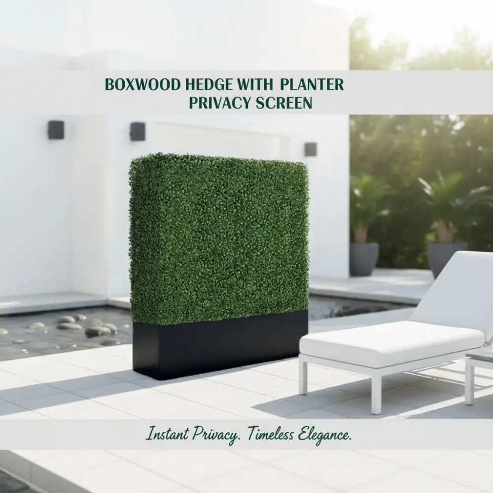 Boxwood Hedge wall