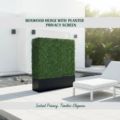 Boxwood Hedge wall