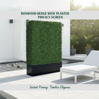 Boxwood Hedge wall