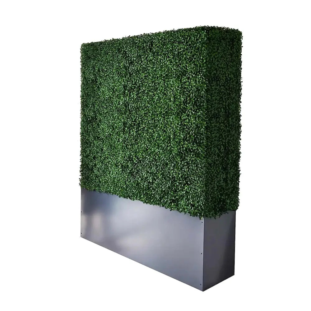 64"H hedge wall