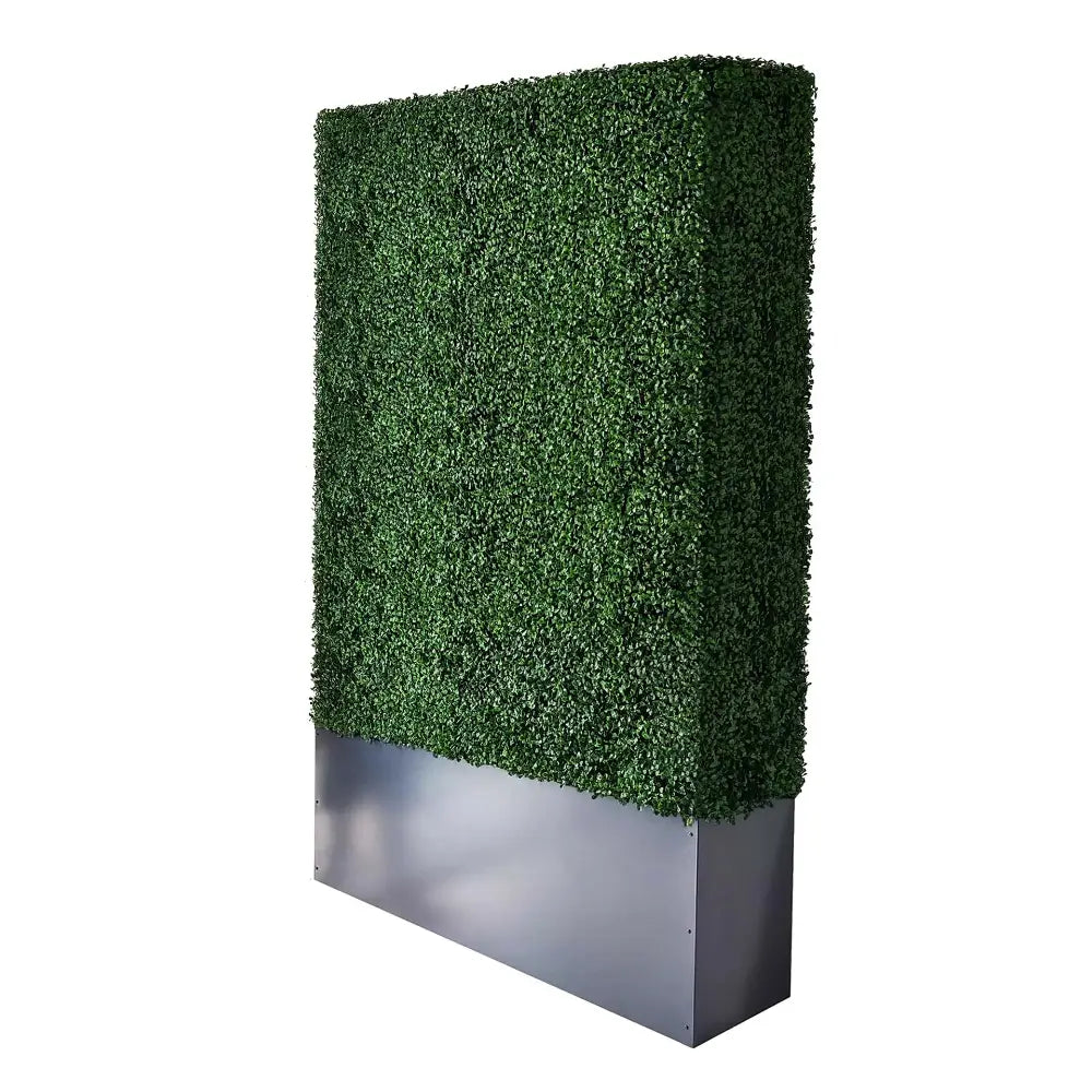 79"H hedge wall