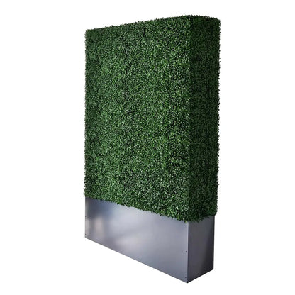 79"H hedge wall