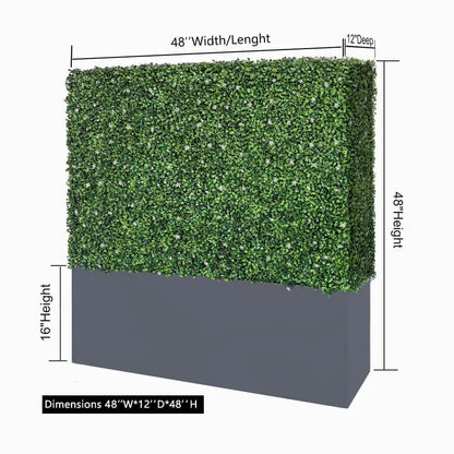 Boxwood_Hedge_Walls_1
