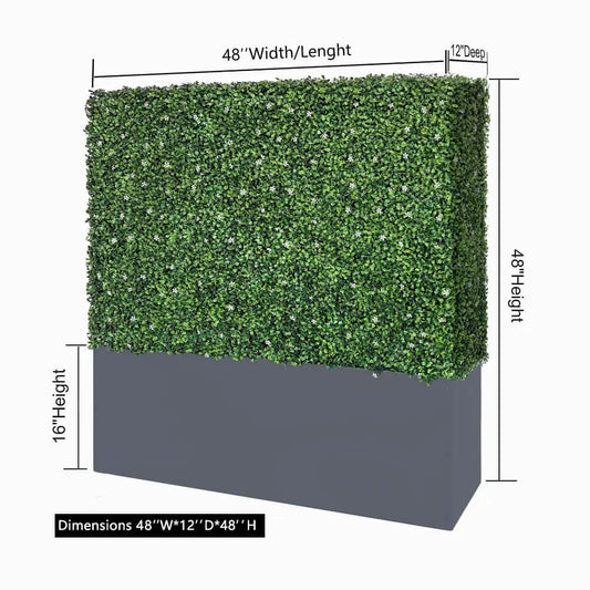 Boxwood_Hedge_Walls_1