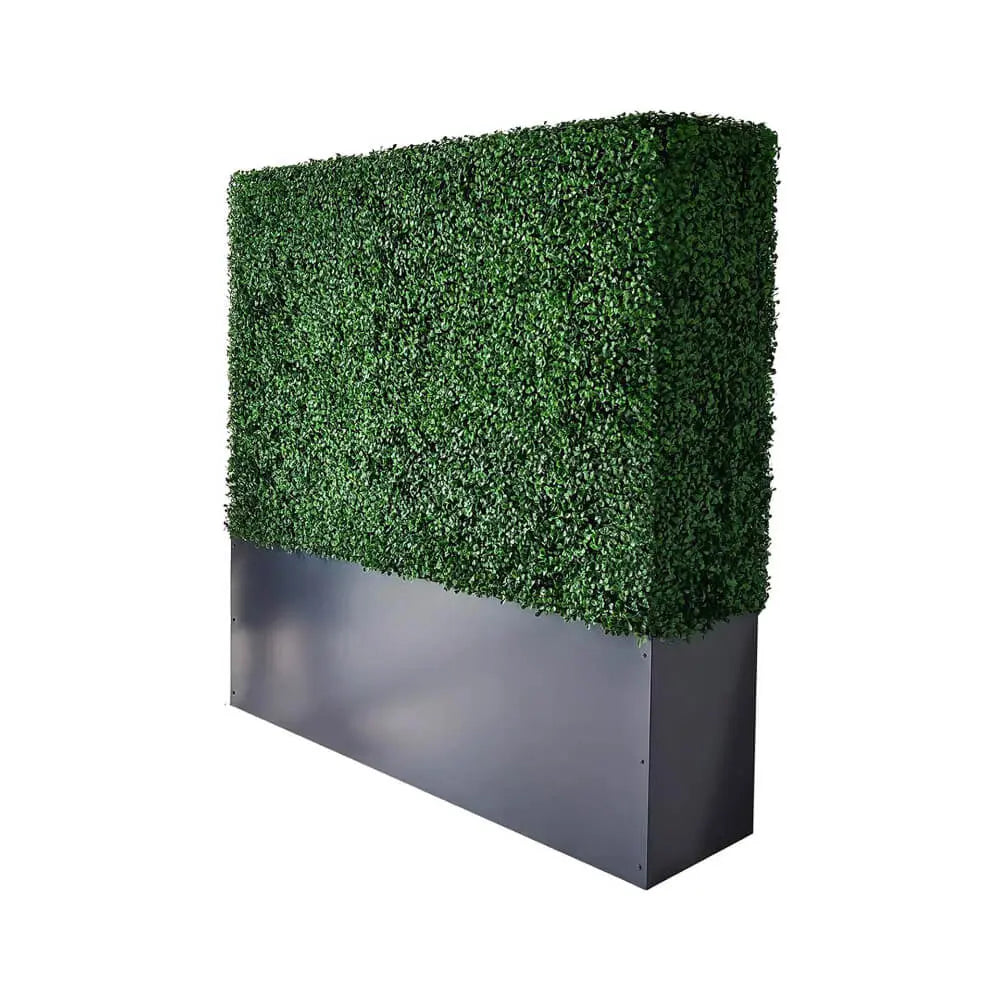 Boxwood_Hedge_With_Planter