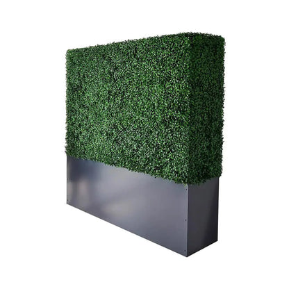 Boxwood_Hedge_With_Planter