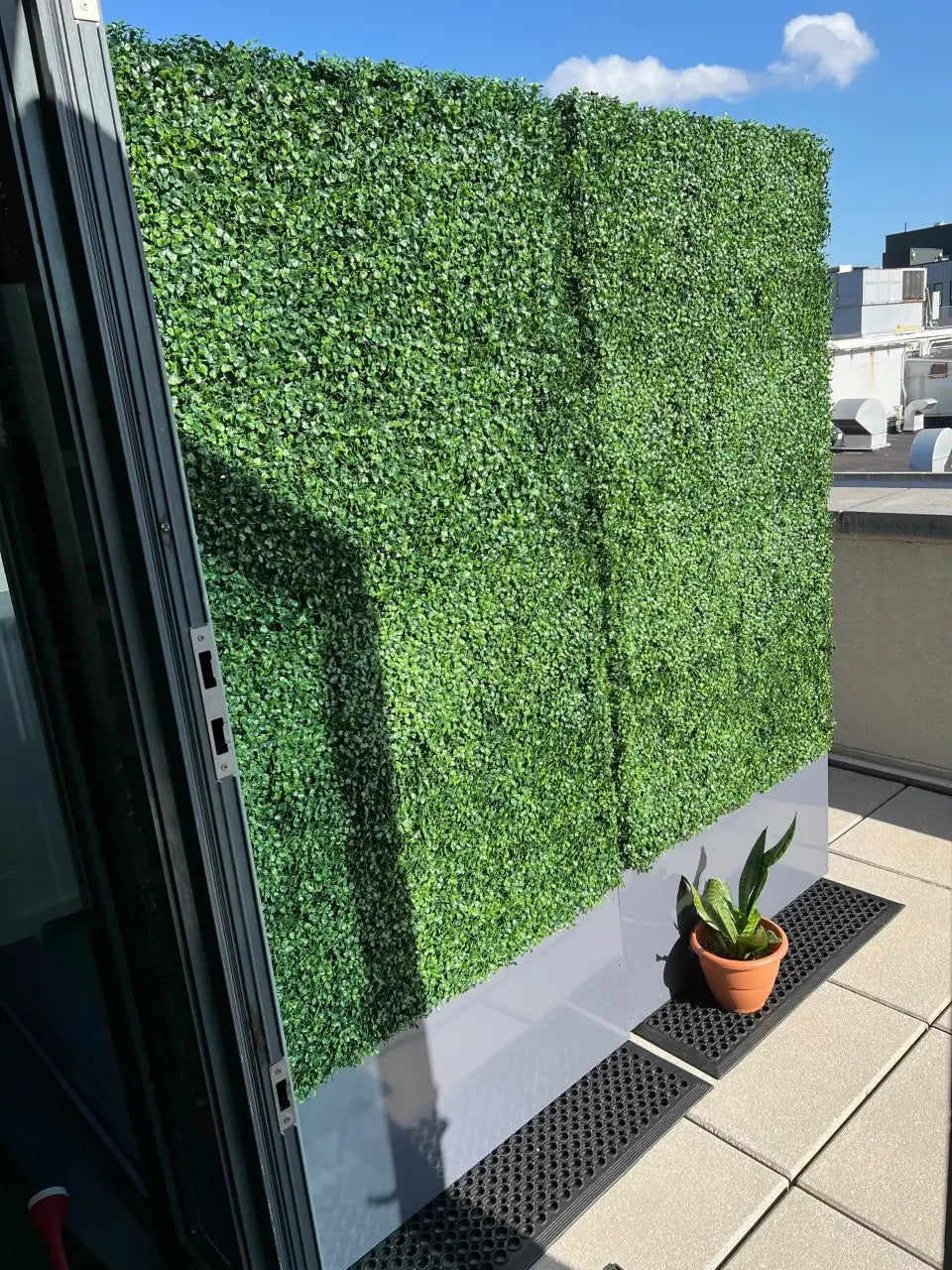Hedge.Wall