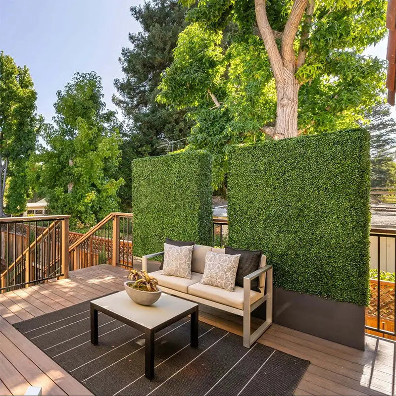 boxwood_hedge_walls