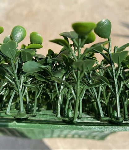 boxwood_panels