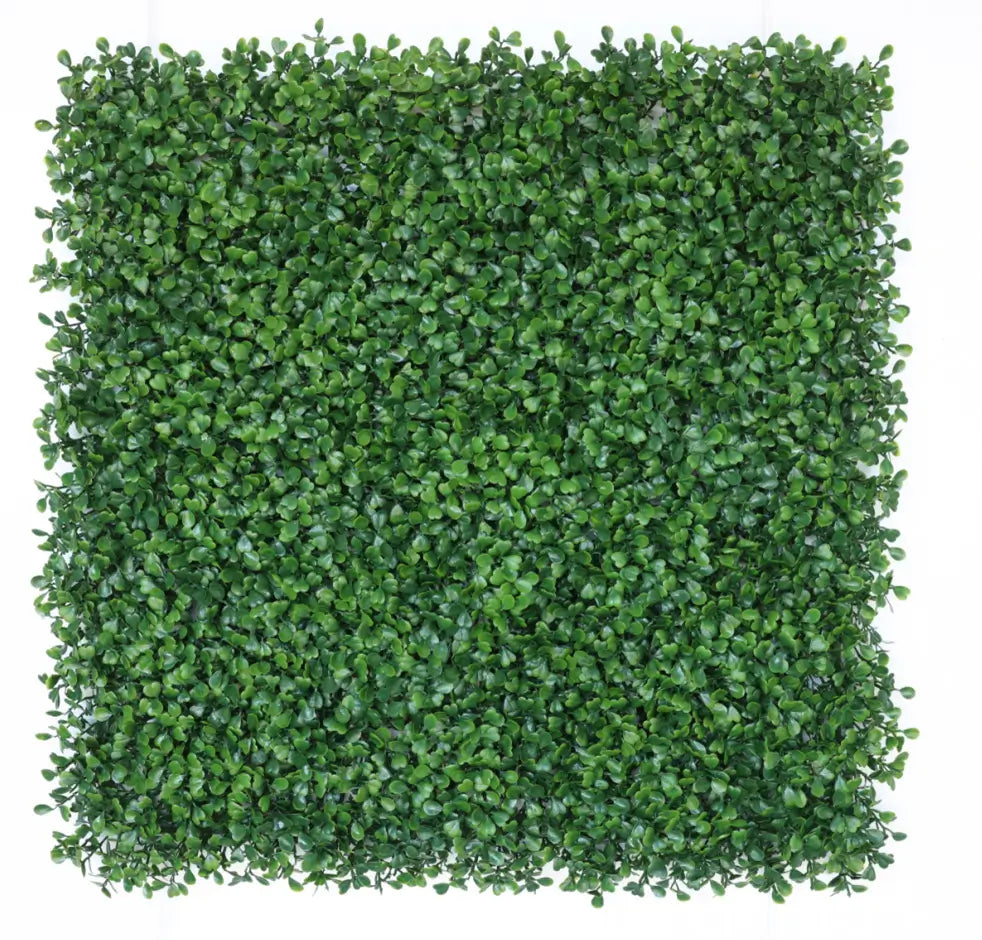 boxwood wall panels
