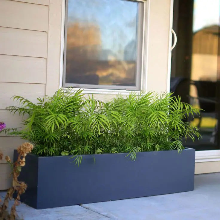 flower-pot