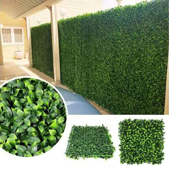green_plant_wall