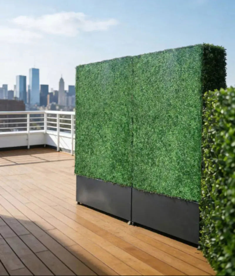 hedge_walls