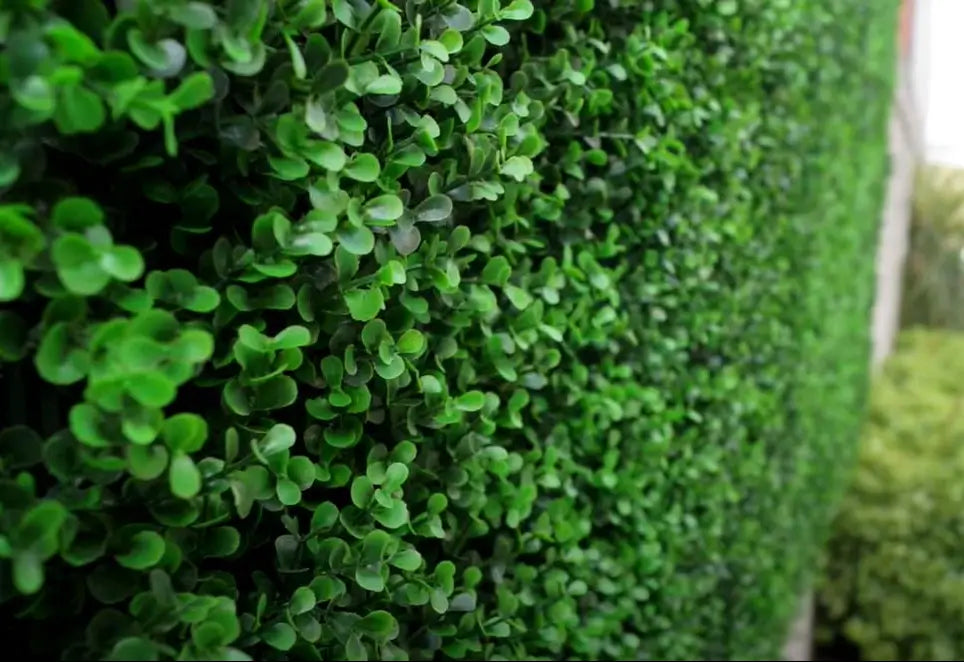 plant panel