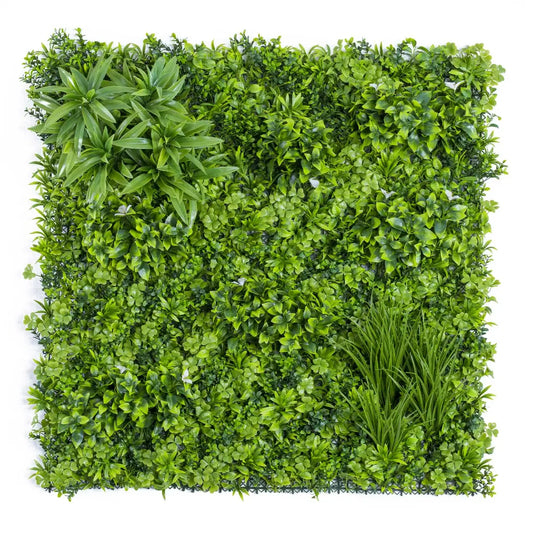 plant panel3