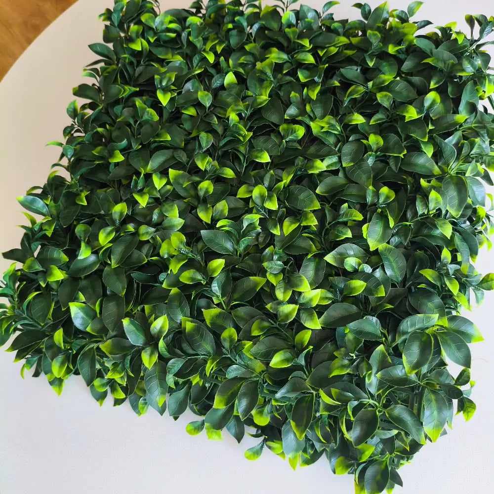 plant_panels