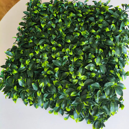 plant_panels