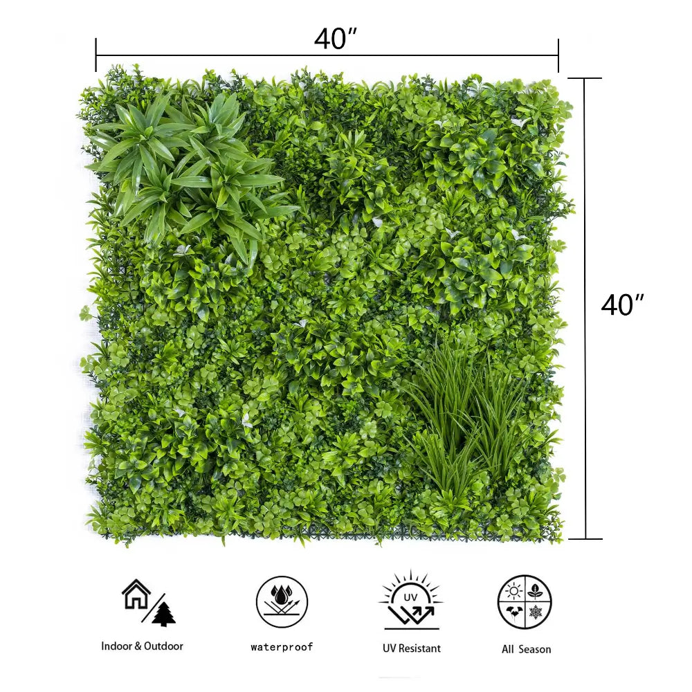 plant plant