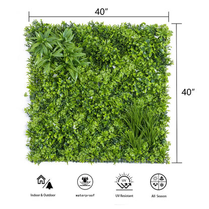 plant plant